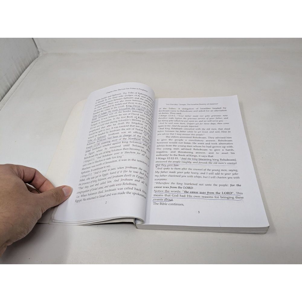 Joseph The Israelite Destiny Of America 2nd Edition 2001 Book Yair Davidi - Picture 9 of 15